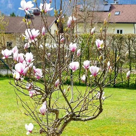 Apartman Sorgenfrei Reutte