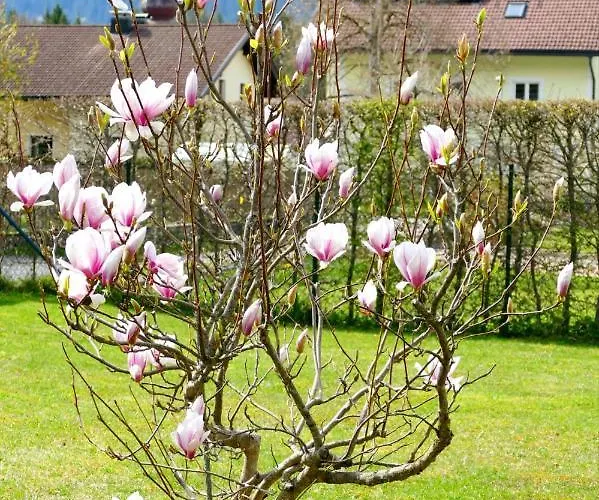 Appartement Sorgenfrei Reutte